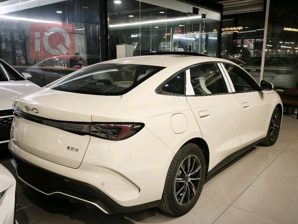 بي واي دي سيل 06 DM-i